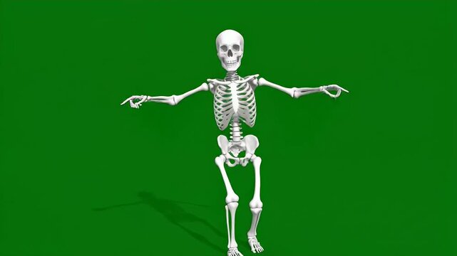 Happy Skeleton Dancing on Green Screen - A 3D rendered skeleton with a cheerful expression is shown dancing against a vibrant green screen background.