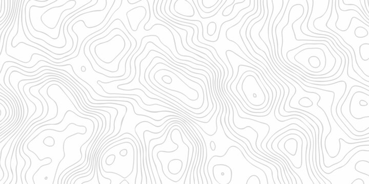 White topography map line geometric grid outline curve counter map wavy design. topography relief discovery area black spiral line space landscape texture background.