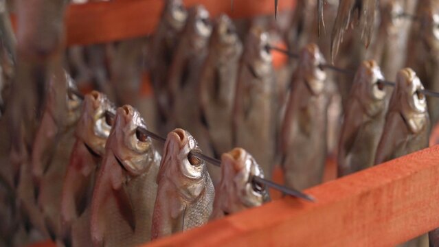 Closeup of dried fish heads skewered in neat rows against warm orange wood. Natural lighting highlights texture metallic sheen. Rustic food preparation scene evokes traditional preservation methods
