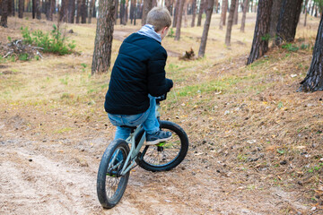 Obraz premium Active Teenager Boy Riding BMX Bicycle on Dirt Path Through Pine Forest in Autumn