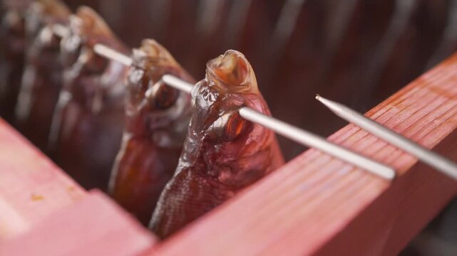 Closeup of dried fish heads skewered in neat rows against warm orange wood. Natural lighting highlights texture metallic sheen. Rustic food preparation scene evokes traditional preservation methods