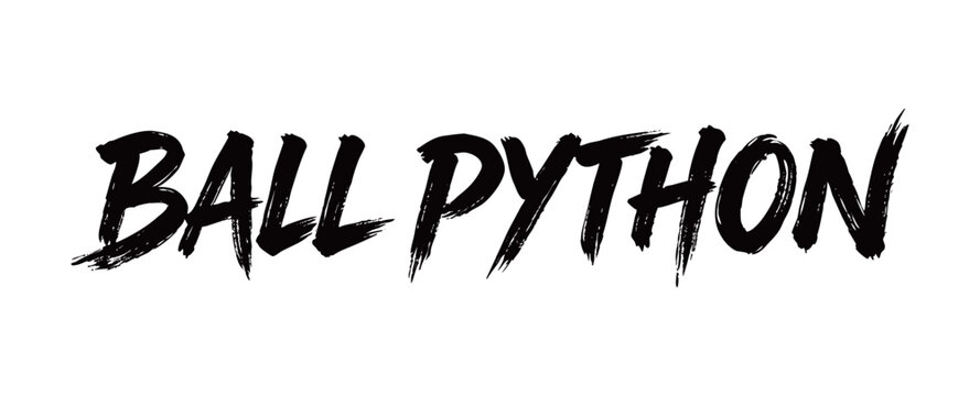 BALL PYTHON Handwriting