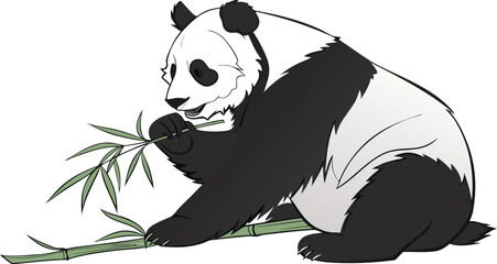Cute giant panda bear eating fresh green bamboo leaves © Riddhi