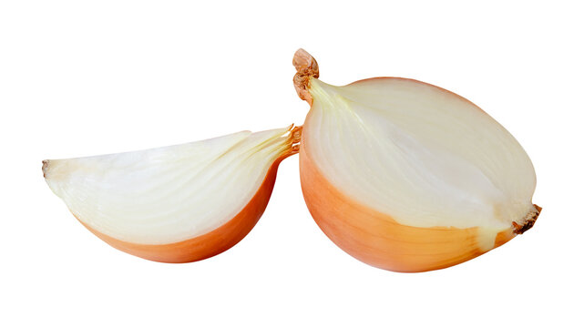 White or big onion bulb in half and quarters in stack isolated on white background with clipping path