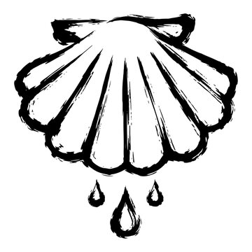 Scallop shell with water droplets as pilgrimage symbol in bold black ink style