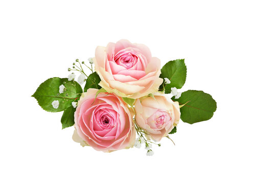 Small pink rose flowers in a floral arrangement isolated on white or transparent background