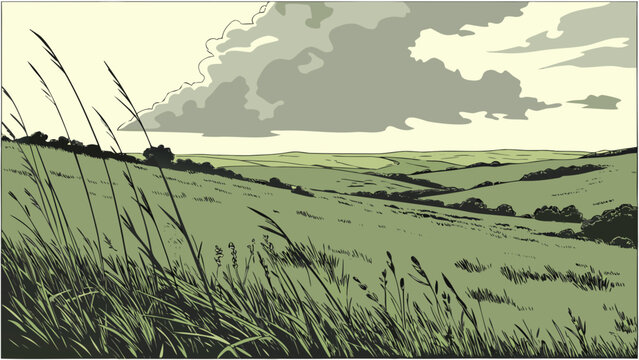 Panoramic view of grassy rolling hills under a stormy sky with landscape