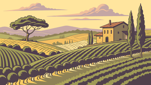 Tuscan countryside landscape with vineyards and farmhouse illustration, vineyard