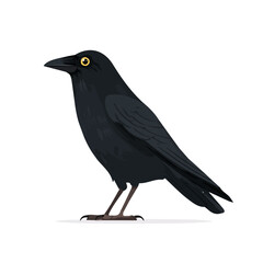 Fototapeta premium Crow — flat 2D vector artwork created in a clean, modern, and minimal style on white background.