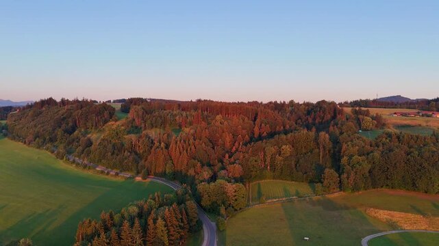 Aerial drone view of a forest at sunrise with golden morning light. Scenic woodland landscape in peaceful nature.	