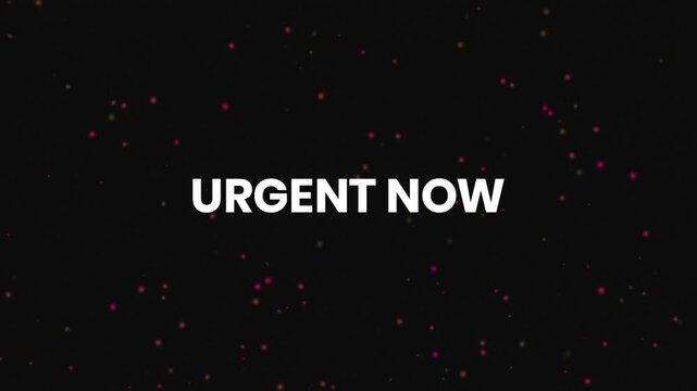 Urgent Now Neon Text Reveal Animation 4K High Priority Alert Message for Time Sensitive Announcements Emergency Notices and Marketing Campaigns