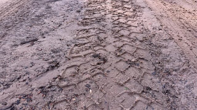 Tire tracks in wet sand on a beach, distinct tread marks in muddy ground. Off-road vehicle path, nature texture, outdoor background