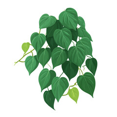 Clean 2D flat vector depiction of a Heartleaf Philodendron, designed in minimalist modern style with white background. © MiniVex