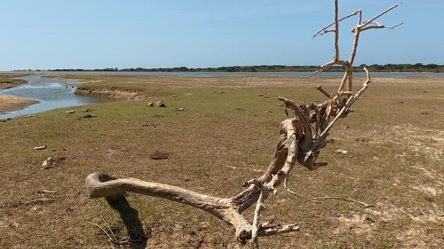 Dry landscape in tropical arid ecosystem in Yala National Park and mud lake due to prevailing drought impact of climate change