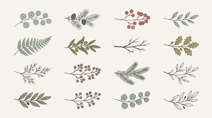 Fototapeta premium Botanical Evergreen Branches Set - Hand-Drawn Winter Foliage Collection