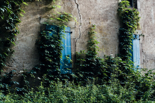 une vielle maison aux volets bleus abandonn&eacute;e. Exode rural. Lierre grimpant sur une fa&ccedil;ade. Maison fendue et abandonn&eacute;e. Nature reprend ses droits