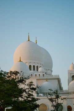 Close-up of the white marble domes of Sheikh Zayed Grand Mosque with golden finials framed by trees under a clear sky in Abu Dhabi