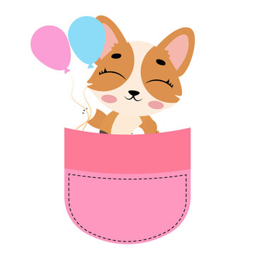Cute corgi dog sitting inside a pink pocket illustration isolated on white background lovely puppy character print design for kids nursery t-shirts stickers and cards