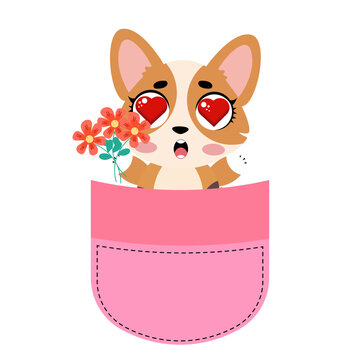 Cute corgi dog sitting inside a pink pocket illustration isolated on white background lovely puppy character print design for kids nursery t-shirts stickers and cards