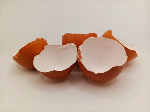 Broken brown eggshell isolated on a white background. Empty shell representing cooking preparation, food waste, recycling, organic material, and kitchen concepts.