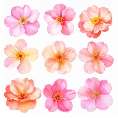 Fototapeta premium Vibrant Pink Orange Flower Grid