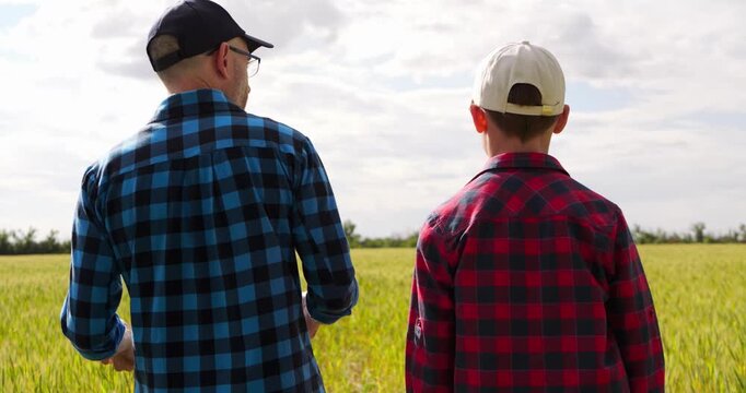 Father and son walk through golden wheat field toward shared future. Authentic family farming scene symbolizes legacy, generational continuity, agricultural heritage and lasting family values.
