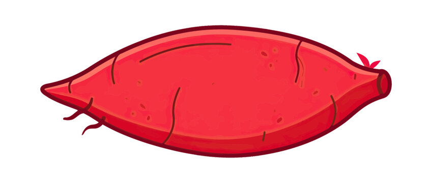 Stylized Red Root Vegetable Illustration