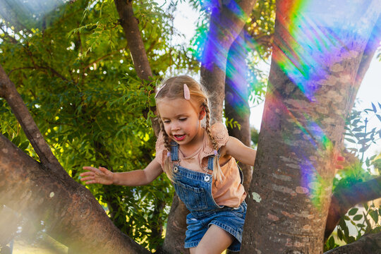 Childhood scene of little girl climbing tree in backyard on summer day with rainbow light flare