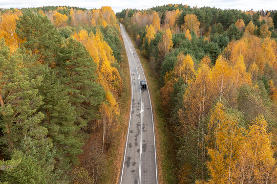Aerial top-down view of a dark car with a small trailer driving along a straight paved road through a vibrant mixed forest showing autumn colors.