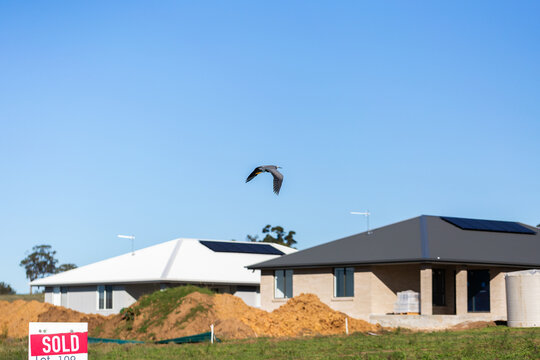 Land lot SOLD sign infront of house under construction with bird flying over worksite