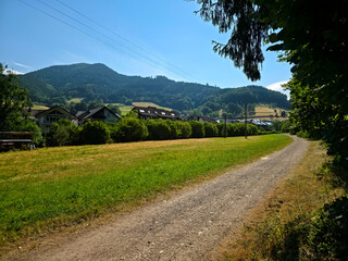 Fototapeta premium germany, scenic hiking trail leading alongside charming black forest village simonswald through lush countryside beneath vibrant blue summer sky