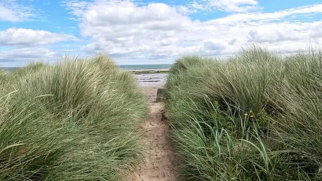 Slow-motion pull-back reveals marram grass swaying in the sea breeze, gradually unveiling the sweeping sand dunes and stunning views of Seahouses Beach on a bright, sunny day.