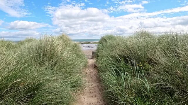 Coastal calm in every movement. A slow push through the marram grass reveals sweeping views of Seahouses beach, sea breeze, sunshine and sandy dunes.