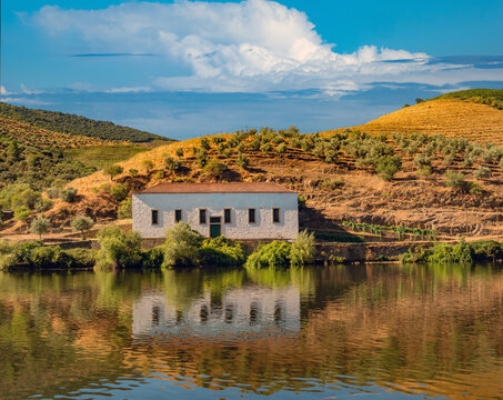 Breathtakingly beautiful scenery, terraced vineyards and ancient dwellings along the Douro reiver valley, Portugal