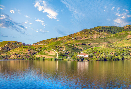 Natural and HUman World heritage Douro River Valley, Portugal