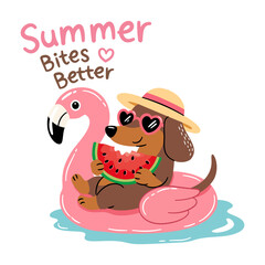 Obraz premium Summer bites better cute dachshund relaxing on pink flamingo float with watermelon slice and sunny vacation typography illustration