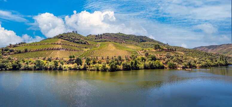 Outstanding cultural and natural beauty of the Alto Douro region, a world heritage Site in Portugal and Spain