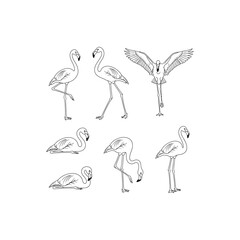 Obraz premium Set of simple black and white line art vector illustrations of flamingos in various poses isolated on white background.