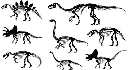 Dinosaur skeleton flat vector illustration. Eight black silhouettes of prehistoric reptile bones display detailed ribs, skulls, spines, and tails of various ancient species. © IVY QUEEN
