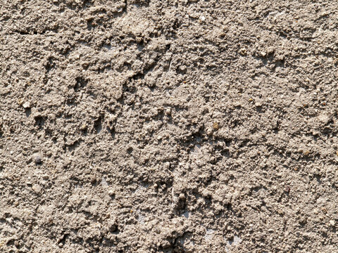 Sunlit Rough Stucco Wall Texture. Macro shot showcasing the intricate, coarse details and granular unevenness of a weathered concrete and stucco exterior wall surface illuminated by bright daylight.