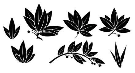 Obraz premium Black Laurel Leaf Silhouettes and Botanical Branch Elements Set