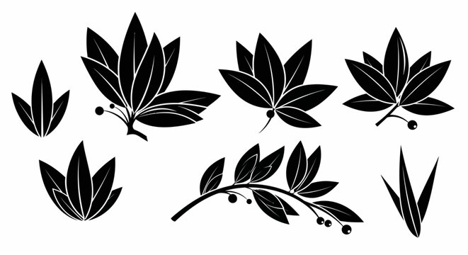 Black Laurel Leaf Silhouettes and Botanical Branch Elements Set