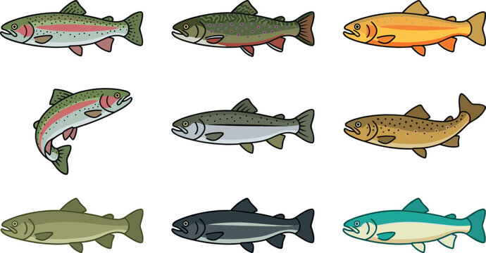 Freshwater trout fish vector illustration set featuring rainbow trout brown trout golden trout salmon species and angling sport fishing catch icons isolated on white