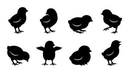 Cute Chick Silhouettes, Baby Bird Vector Icons, Farm Animal Graphics, Spring Poultry Set © Niloy