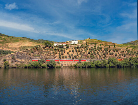 Train crossing the breathtaking human and natural wonders of the Douro river valley with terraced vineyards, olive and almond groves and traditional quintas, Portugal