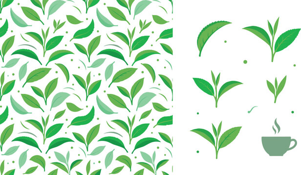 Fresh green tea leaves seamless pattern and vector icon set with hot tea cup isolated on white background for organic beverage packaging design