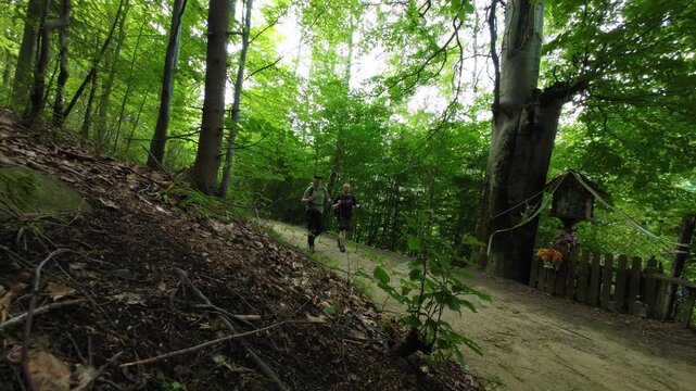 Two male friends hiking up a steep mountain trail through a dense forest. Active outdoor lifestyle, trekking, and exploring wild nature during a scenic wilderness adventure and summer journey
