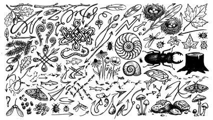 Black and white hand drawn sketch set of forest nature elements and wild animals