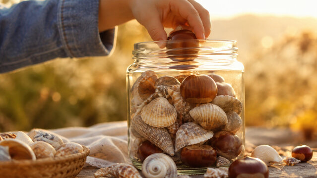 Hand collecting seashells in glass jar at sunset