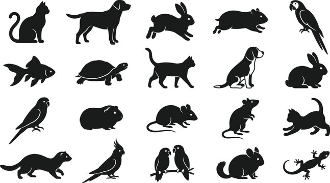 Set of black silhouettes of popular domestic house pets including cats dogs rabbits birds fish and small rodents isolated in a collection for veterinary and animal design